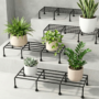 Gold Metal Plant Stand For Home Decor Pack Of 4